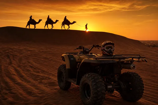 CAMEL + QUAD BIKE Camel trek and quad bike setup on Lahbab red dunes at golden hour