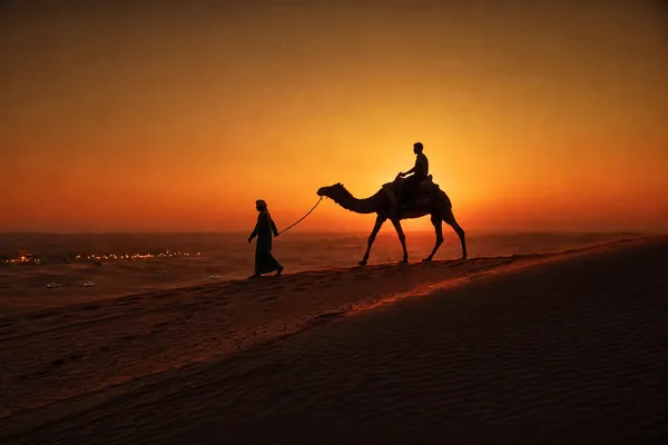 Camel trek silhouette on Lahbab red dunes at sunset with desert safari camp lights